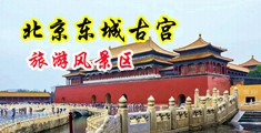 男人揉着女人大奶子插女人逼逼视频中国北京-东城古宫旅游风景区